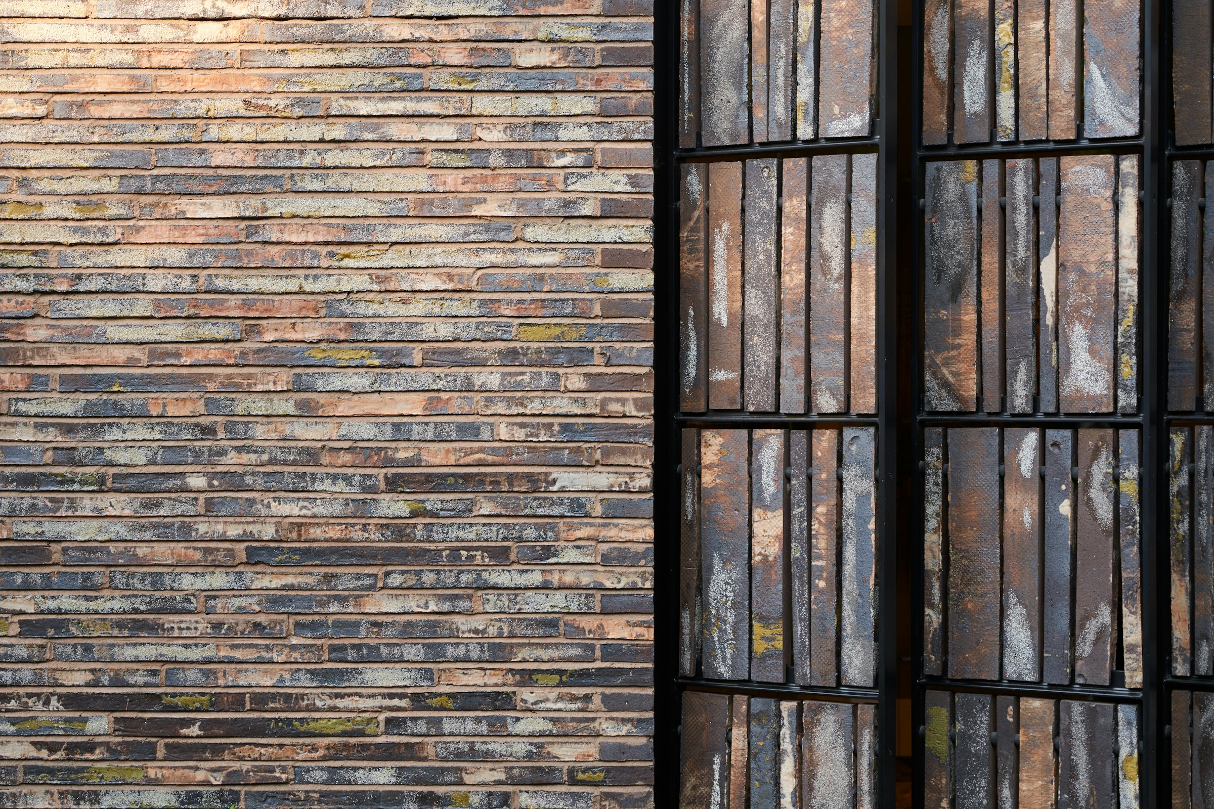 House In the Woods 06