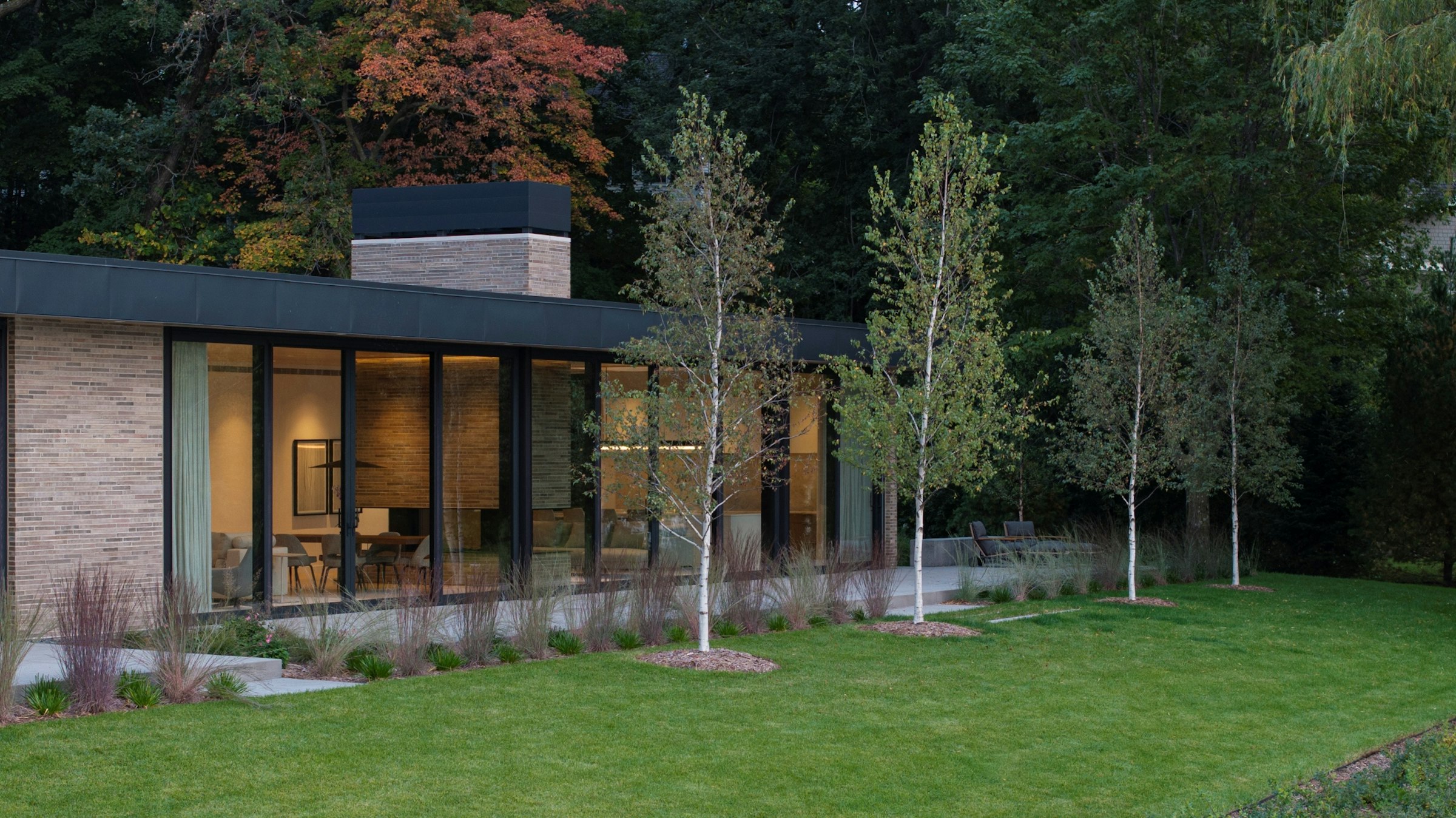 Woodland 06